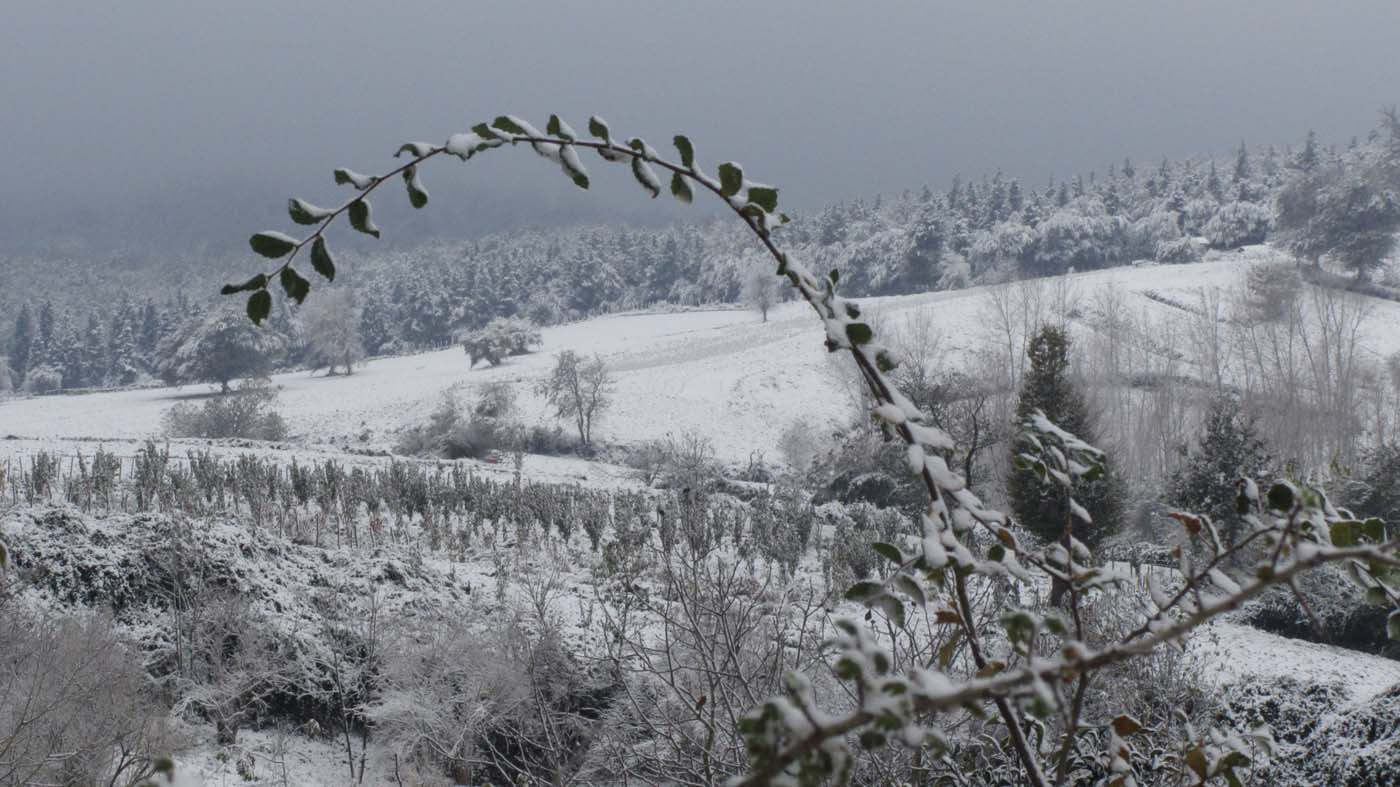 1_186_.jpg (1400×787)