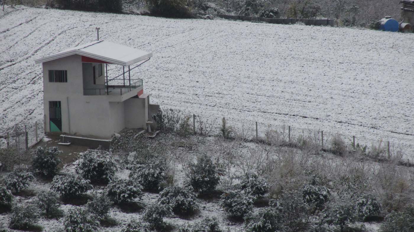 1_188_.jpg (1400×787)