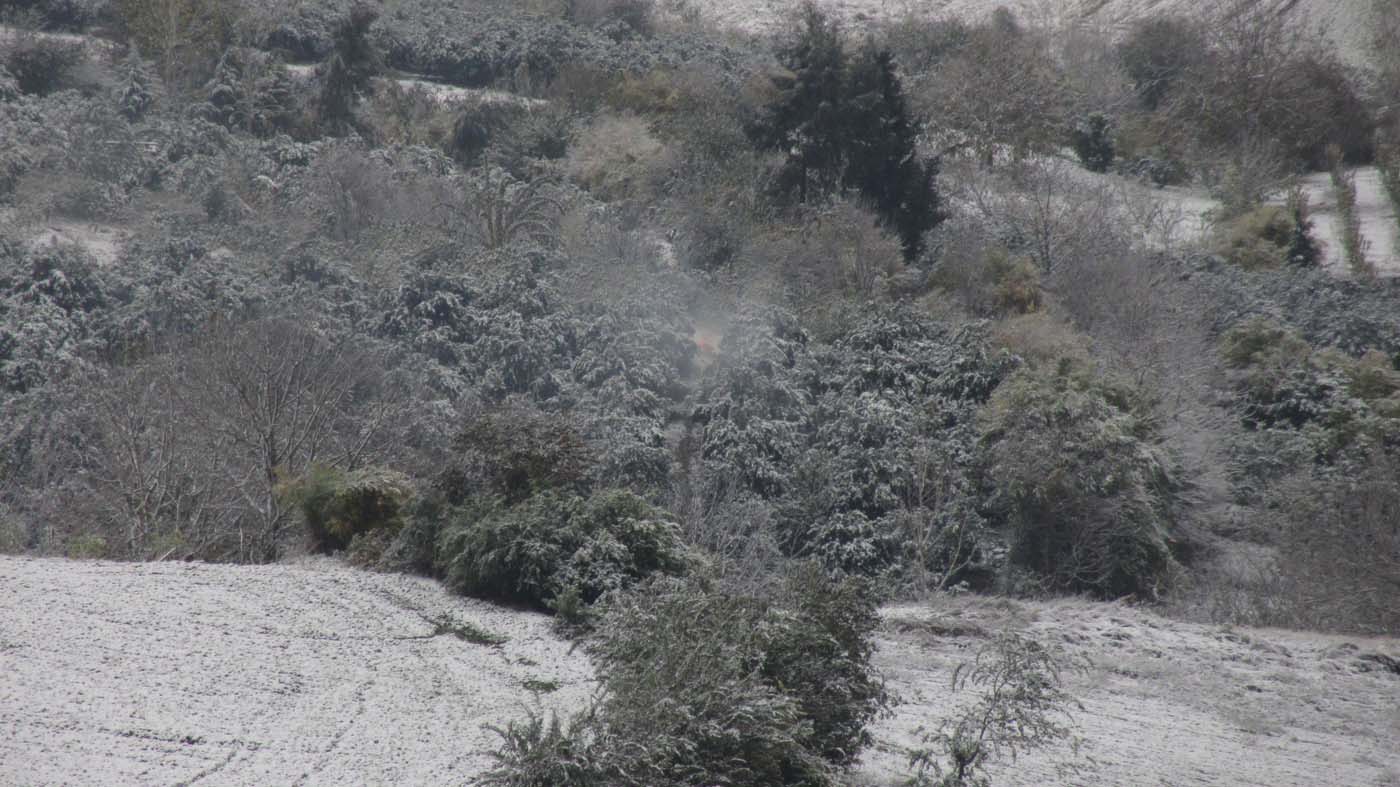 1_189_.jpg (1400×787)