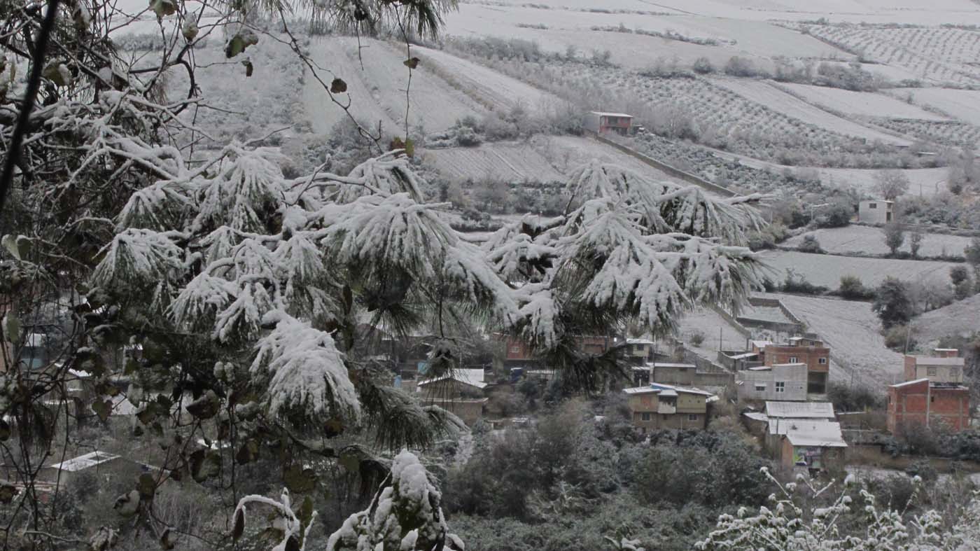 1_191_.jpg (1400×787)