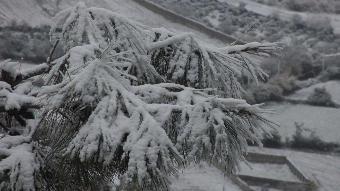 1_192_.jpg (1400×787)