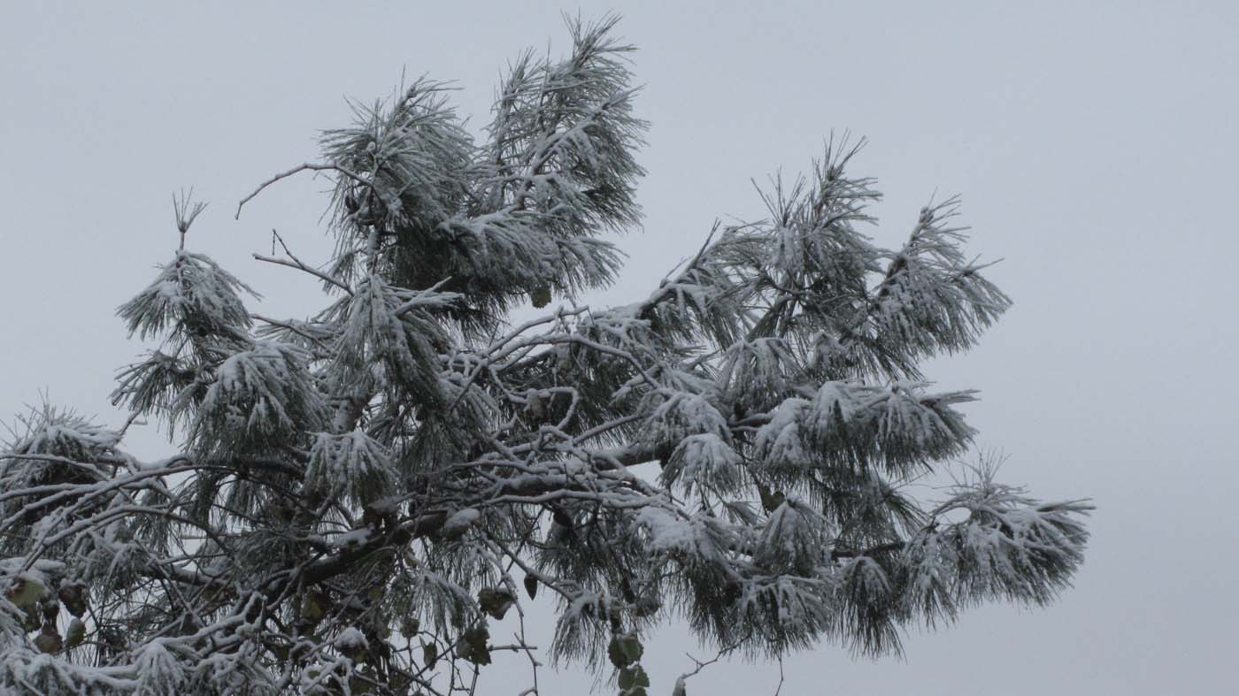 1_193_.jpg (1400×787)