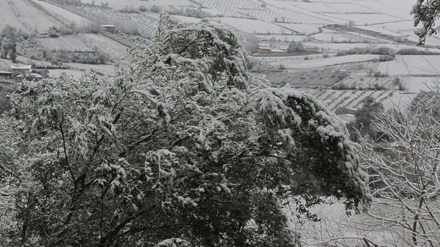 1_194_.jpg (1400×787)