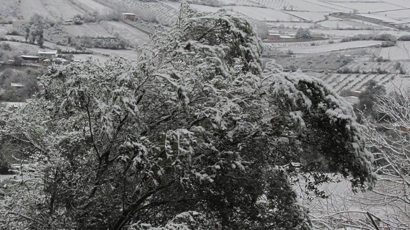 1_195_.jpg (1400×787)