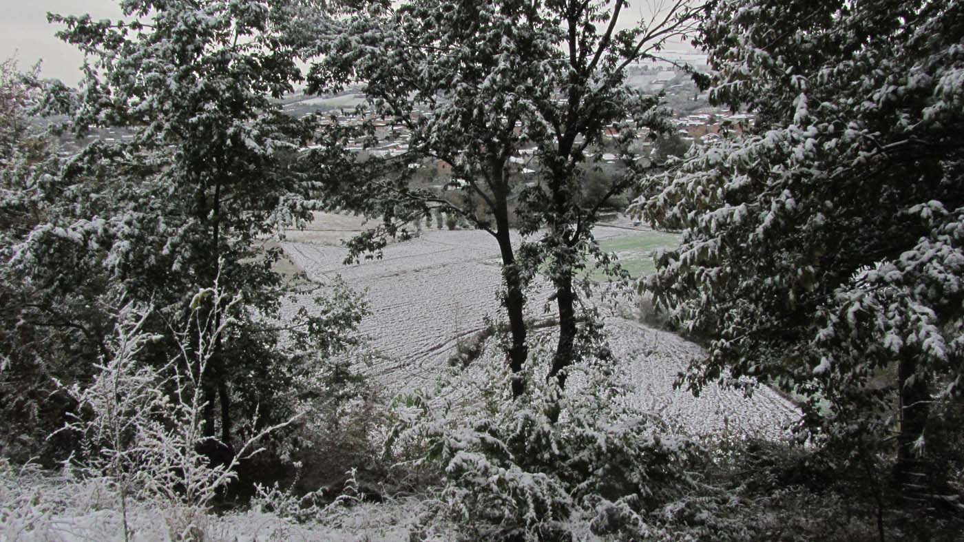 1_196_.jpg (1400×787)