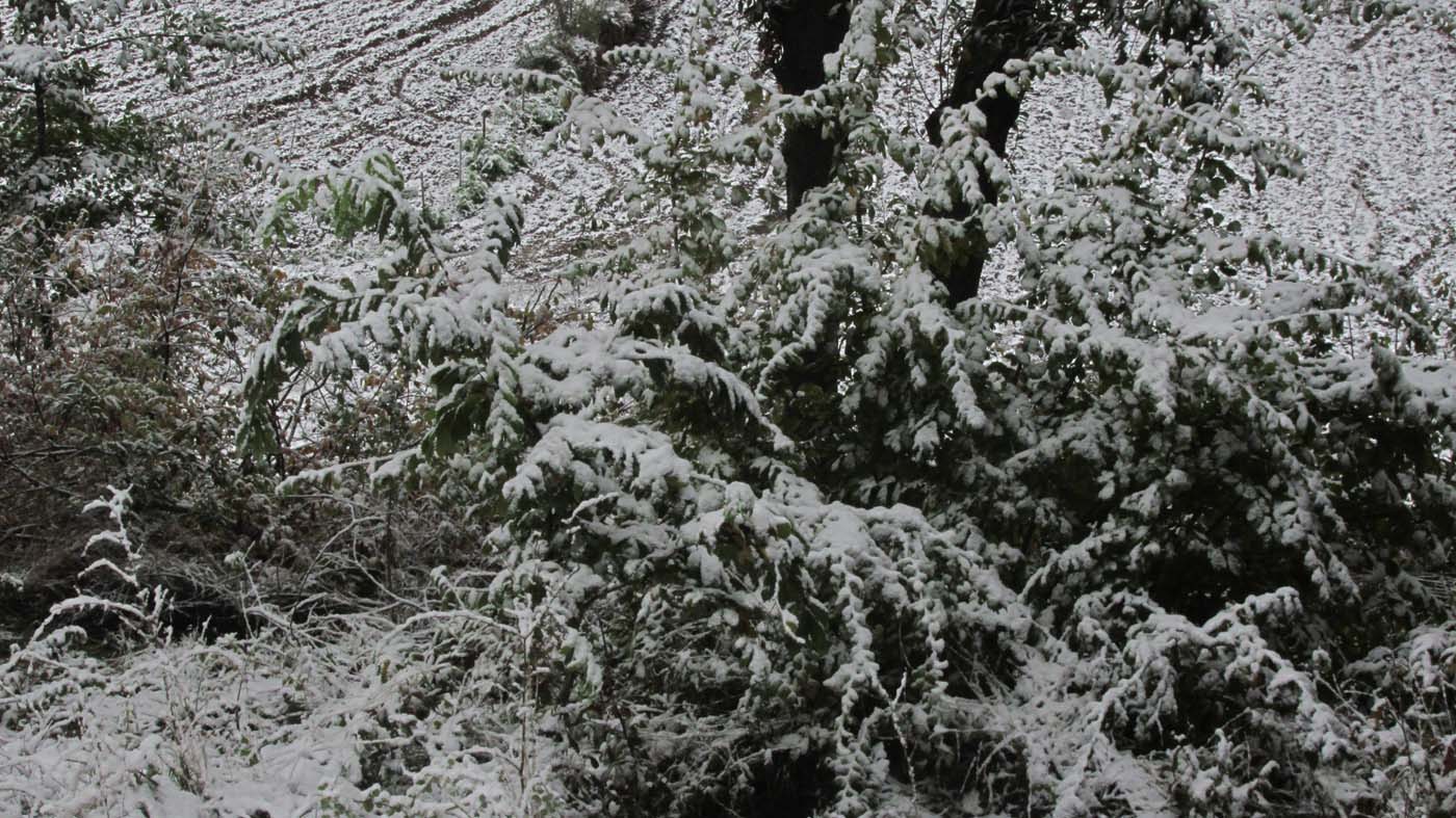 1_197_.jpg (1400×787)