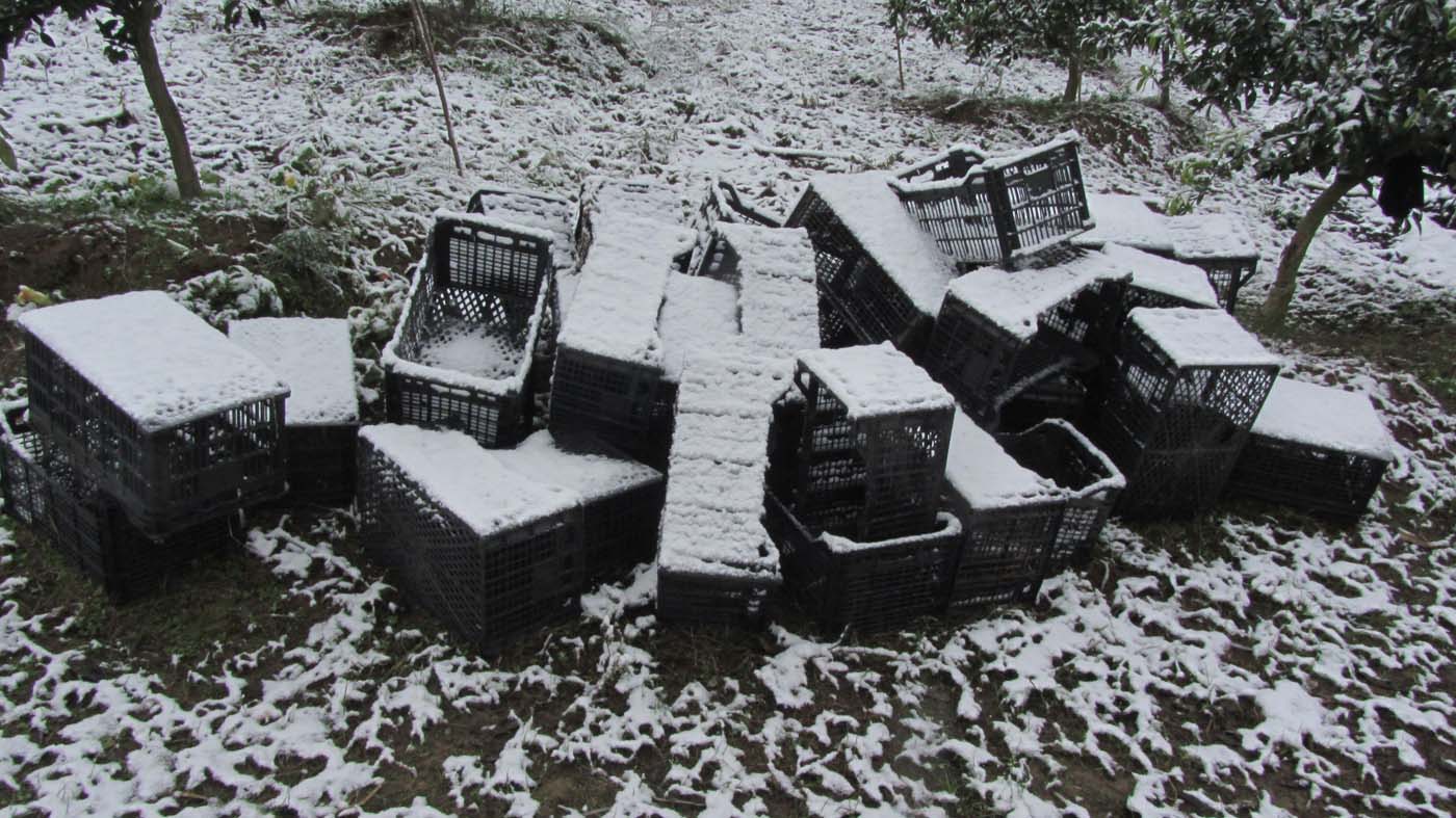 1_203_.jpg (1400×787)