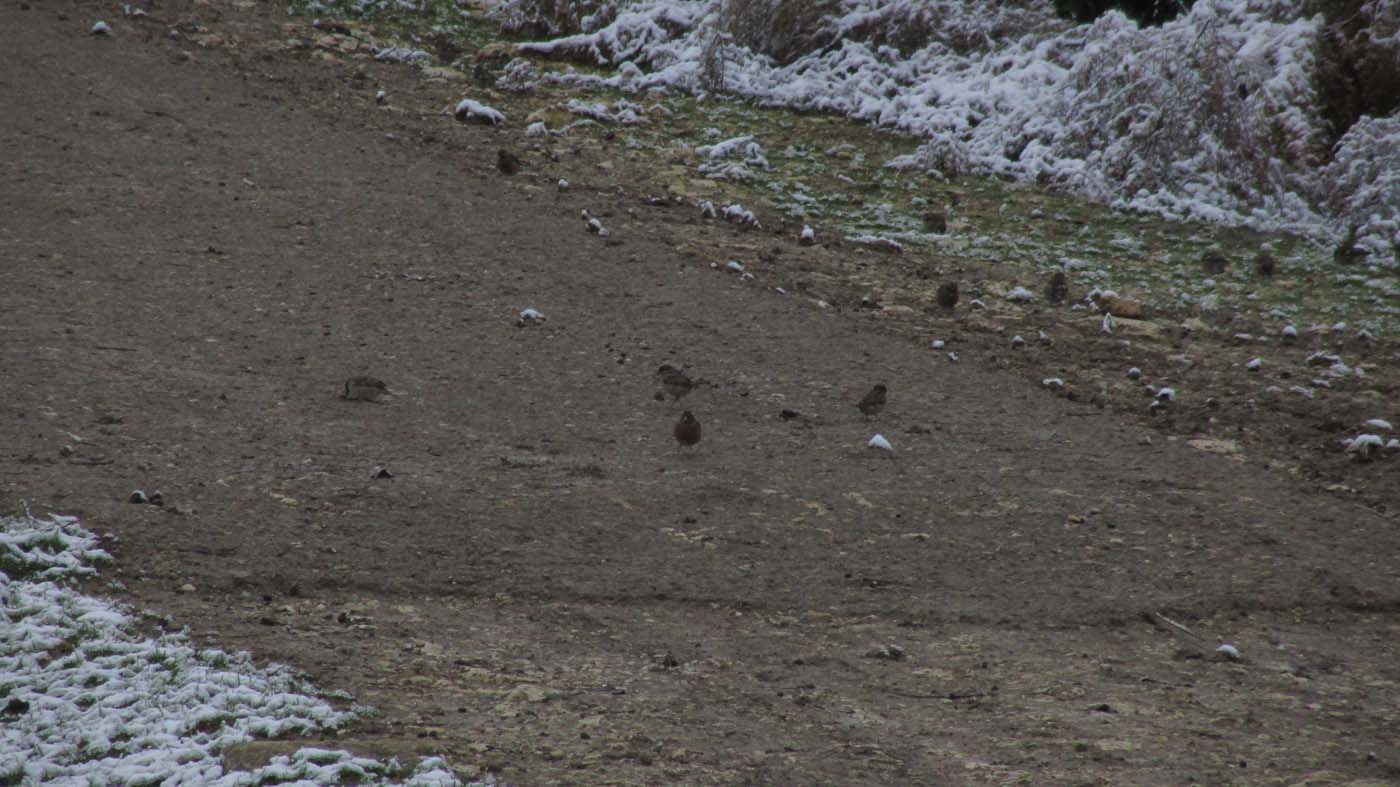 1_204_.jpg (1400×787)