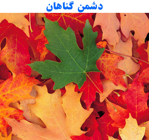 http://s9.picofile.com/file/8275879476/115.jpg