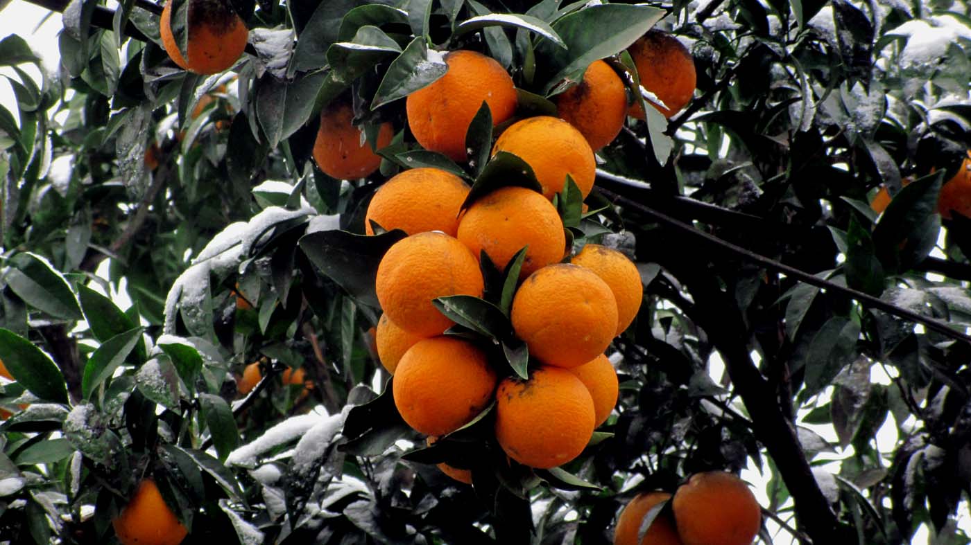 1_1_.jpg (1400×787)