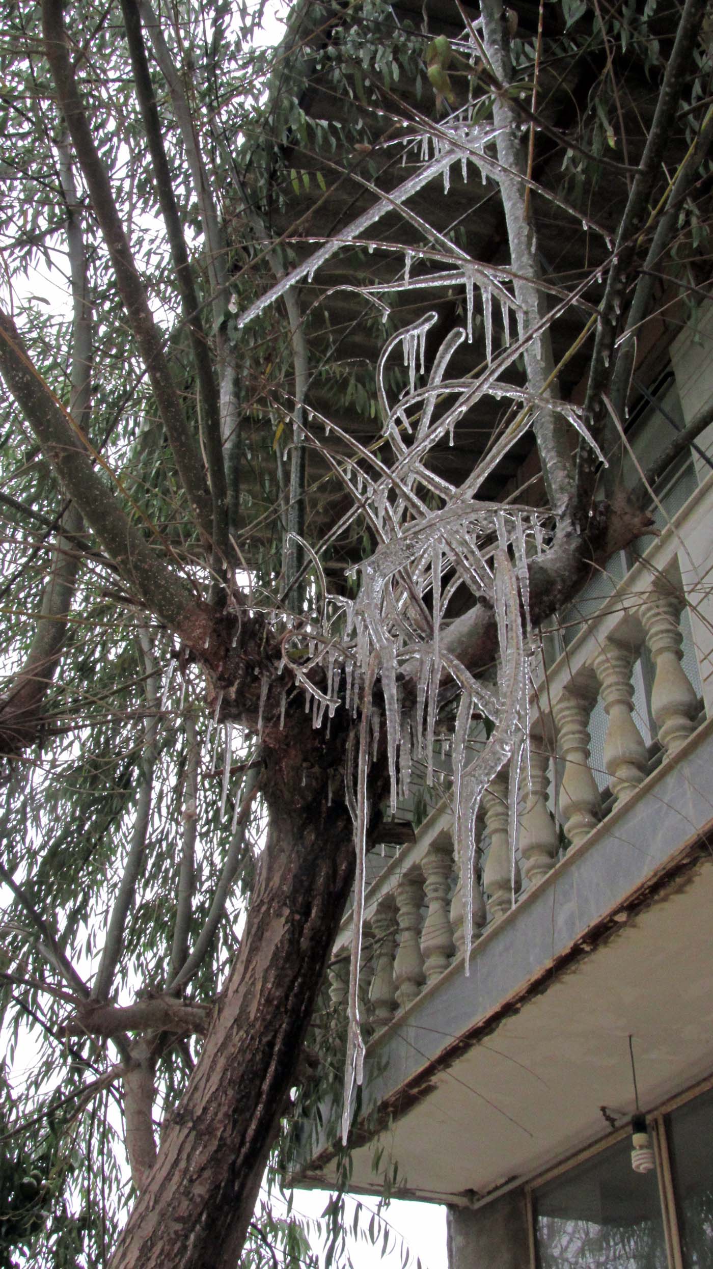 1_7_.jpg (1400×2491)