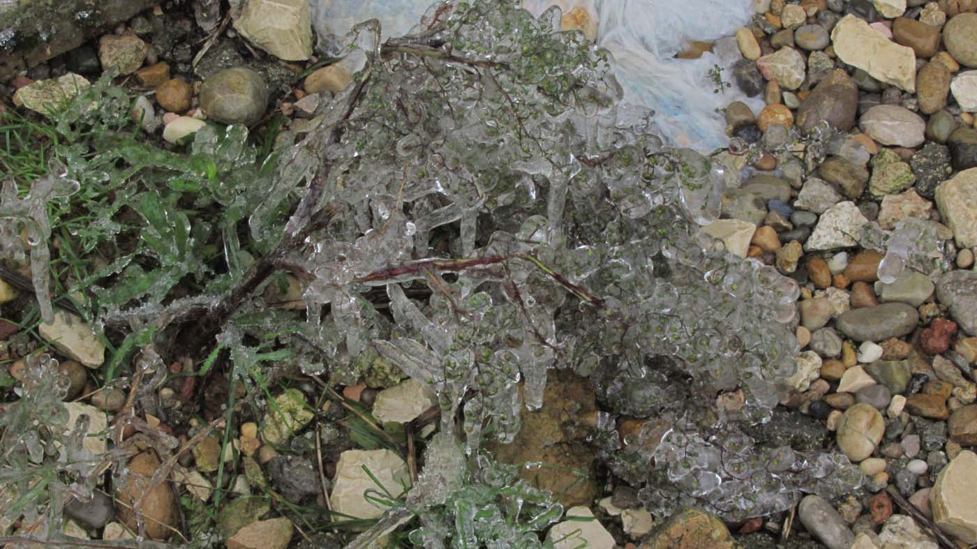 1_25_.jpg (1400×787)