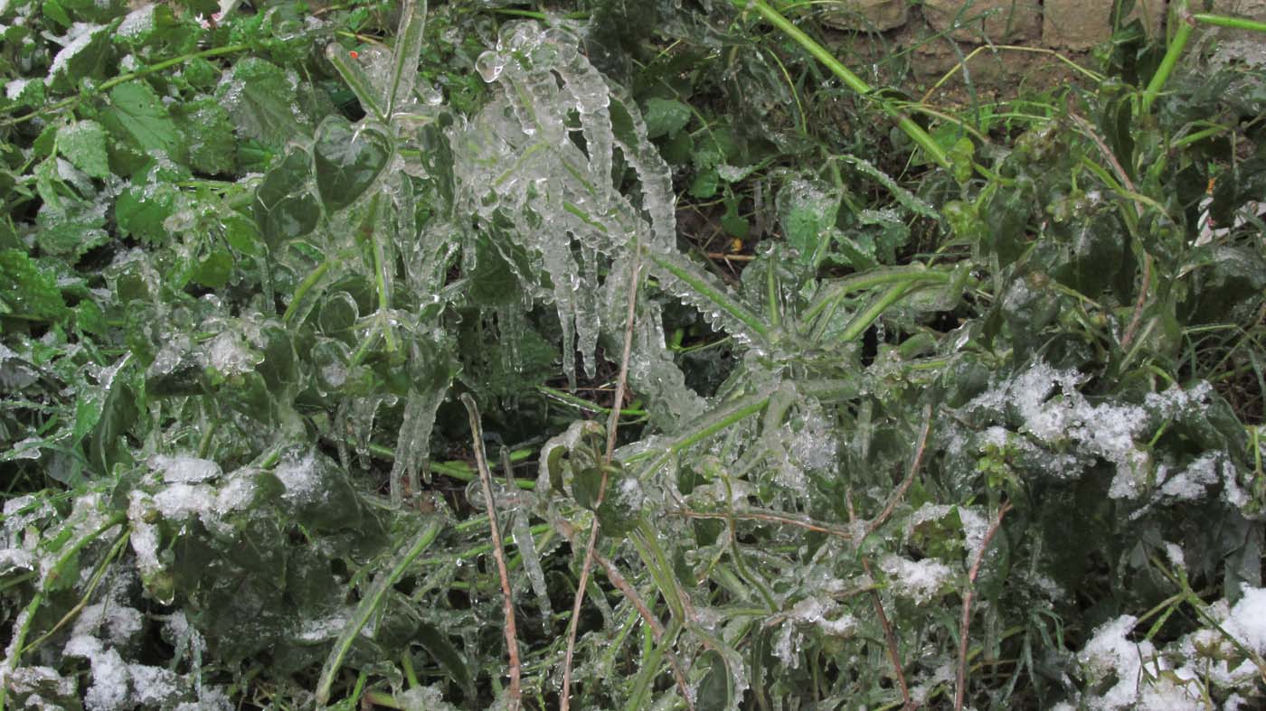 1_29_.jpg (1400×787)