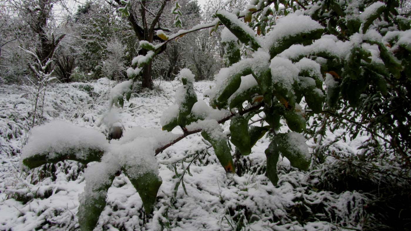 1_4_.jpg (1400×787)