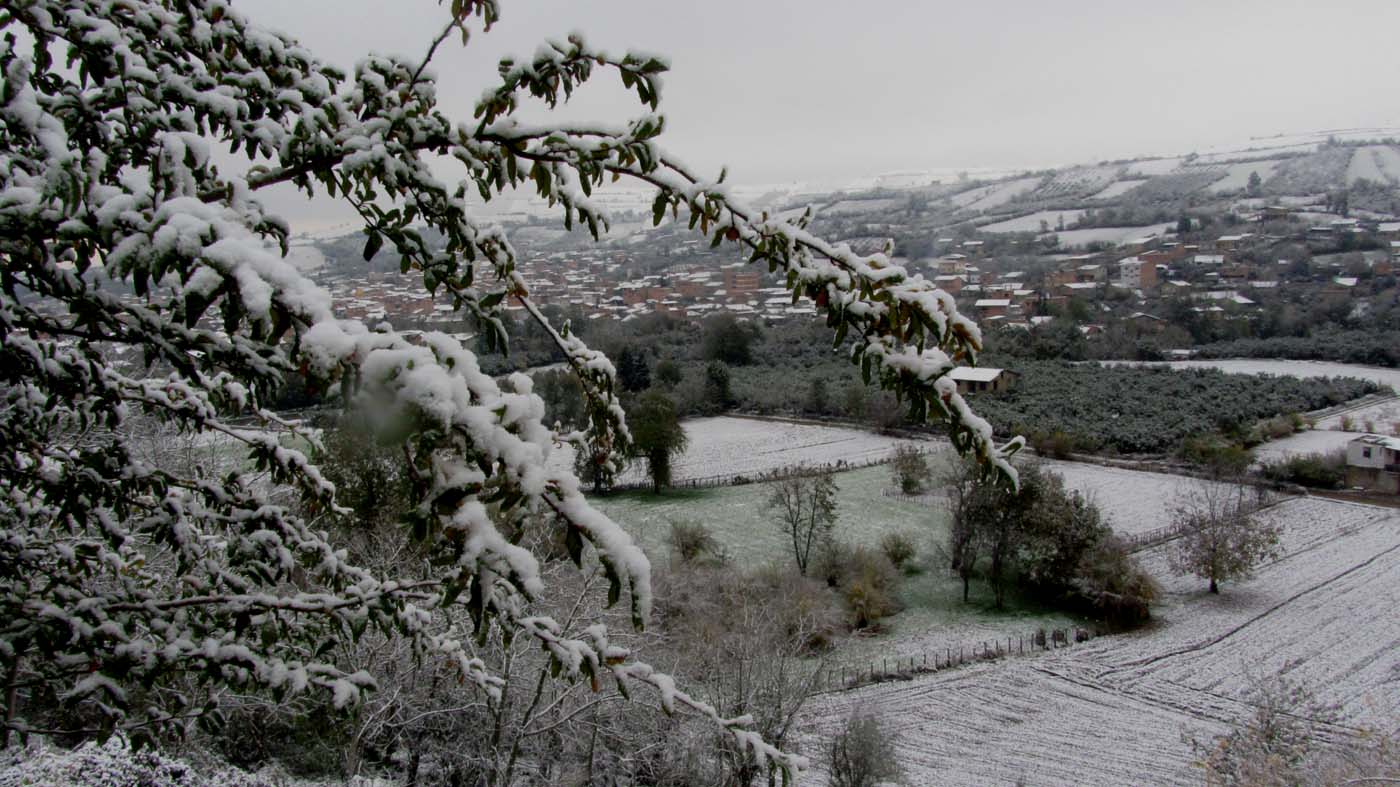 1_5_.jpg (1400×787)