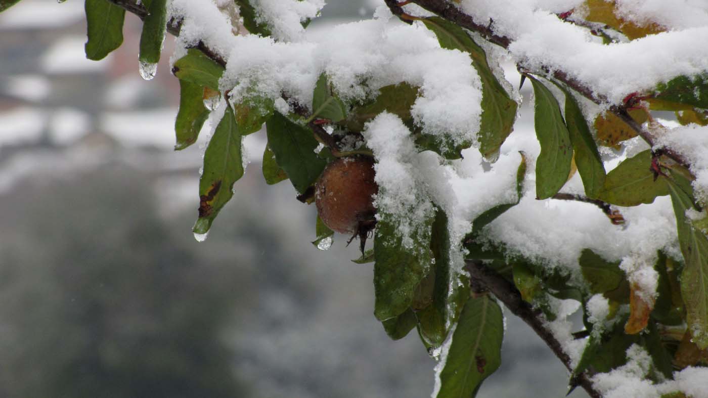 1_6_.jpg (1400×787)