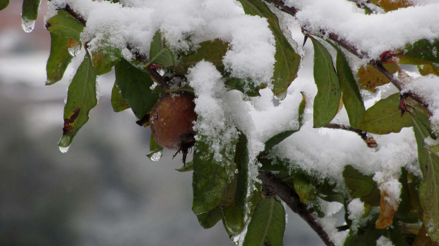 1_7_.jpg (1400×787)