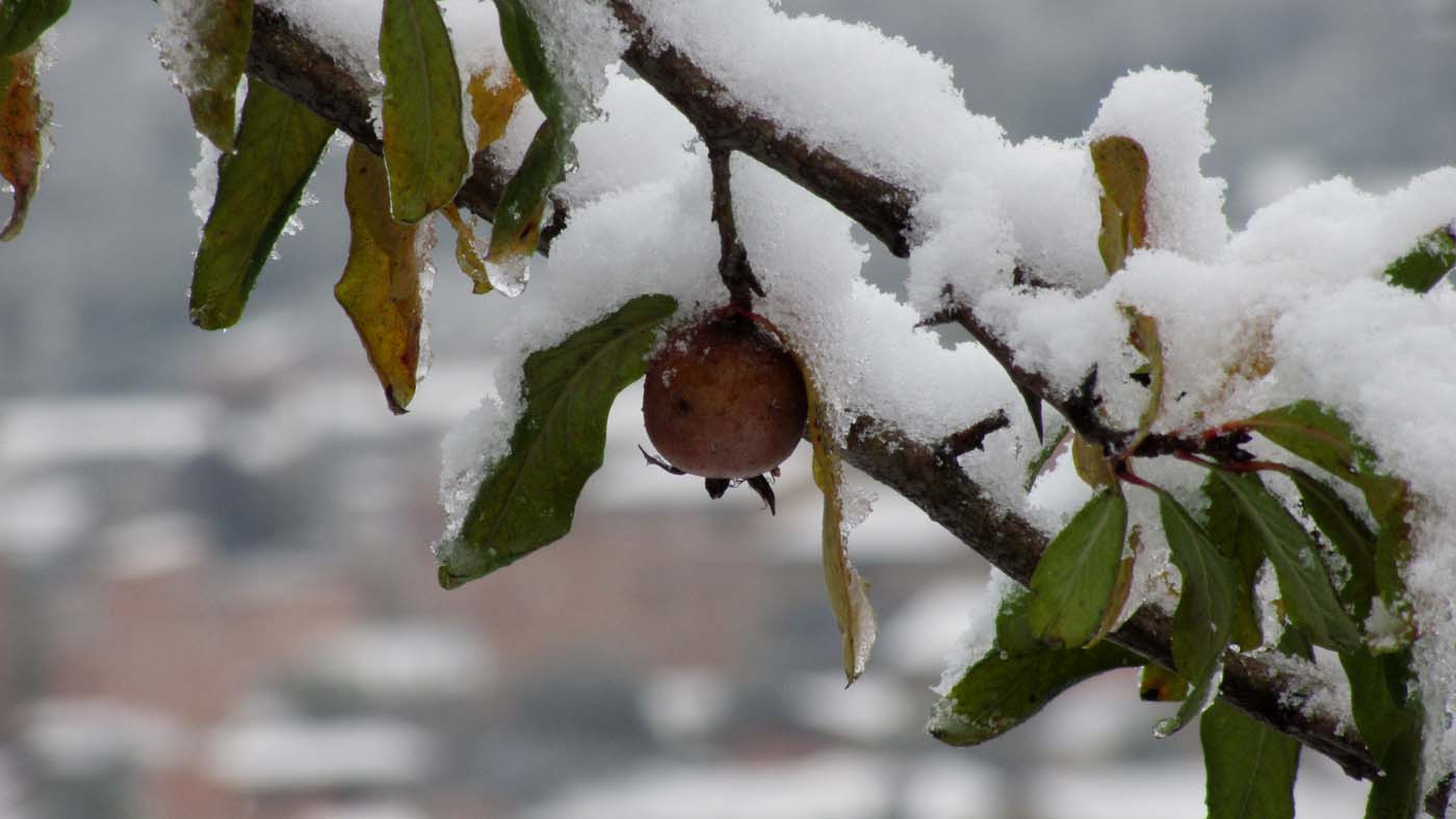 1_8_.jpg (1400×787)