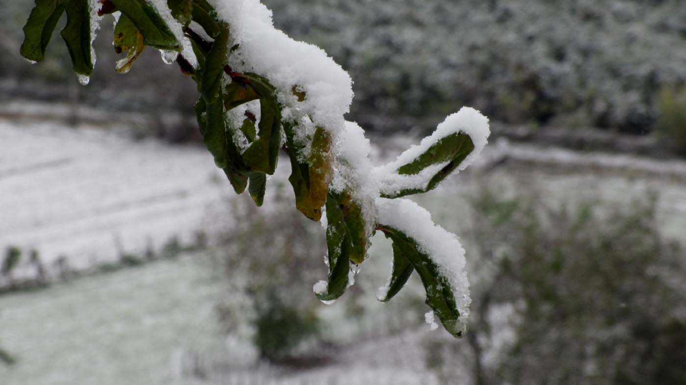 1_9_.jpg (1400×787)