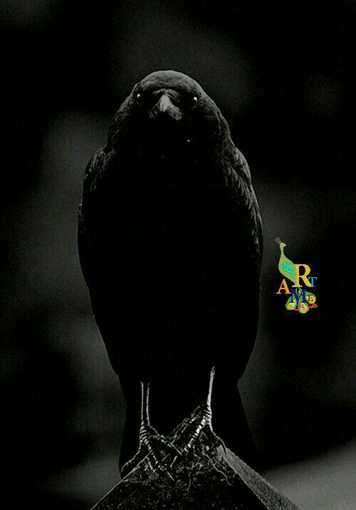 http://s9.picofile.com/file/8276252050/photo_2016_11_27_09_32_27.jpg