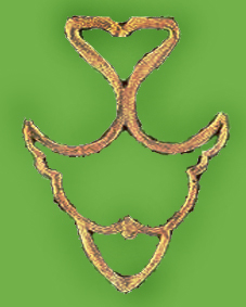 ماهی حسن