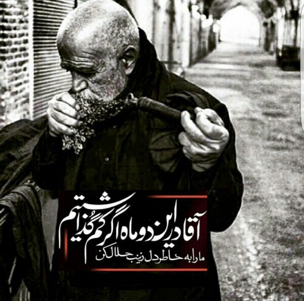 instageram.sjd3704.com