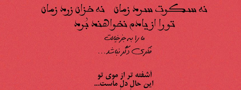 عاجزم از گردش تو گفت مرا چرخ و فلک
