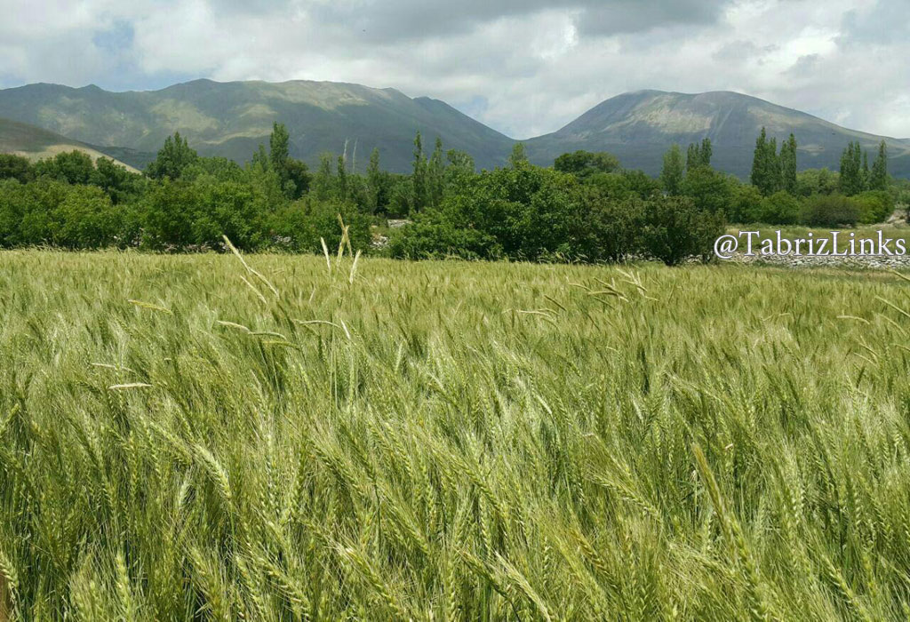میاب مرند