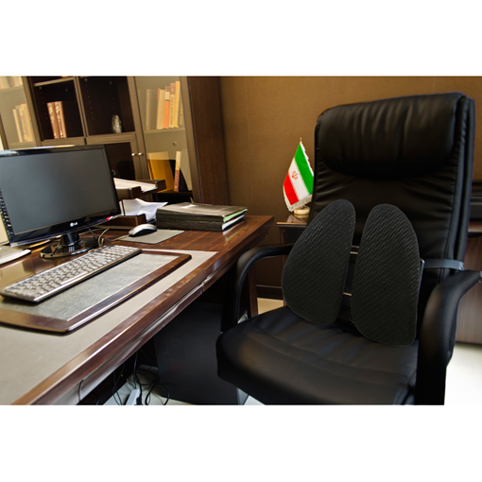 پشتی طبی زیفن بک