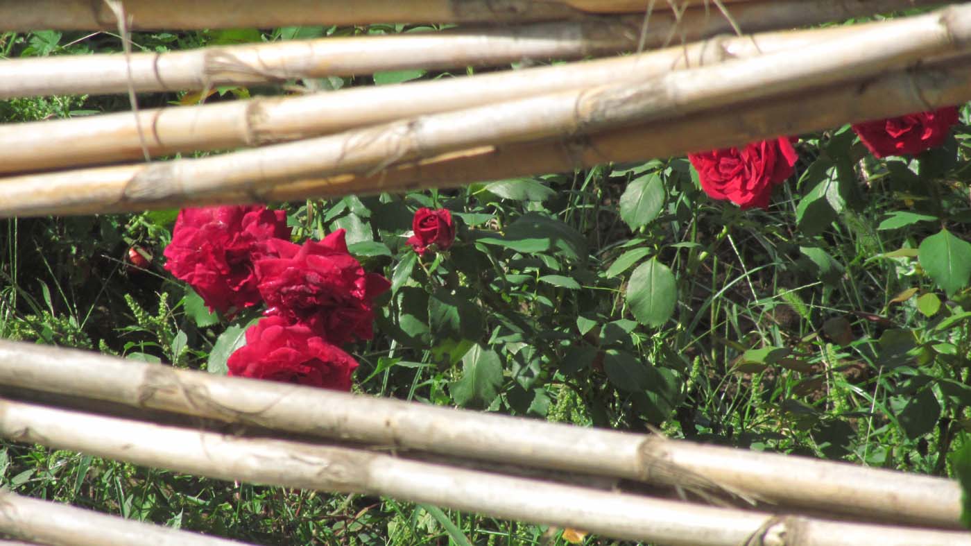 2_3_.jpg (1400×787)