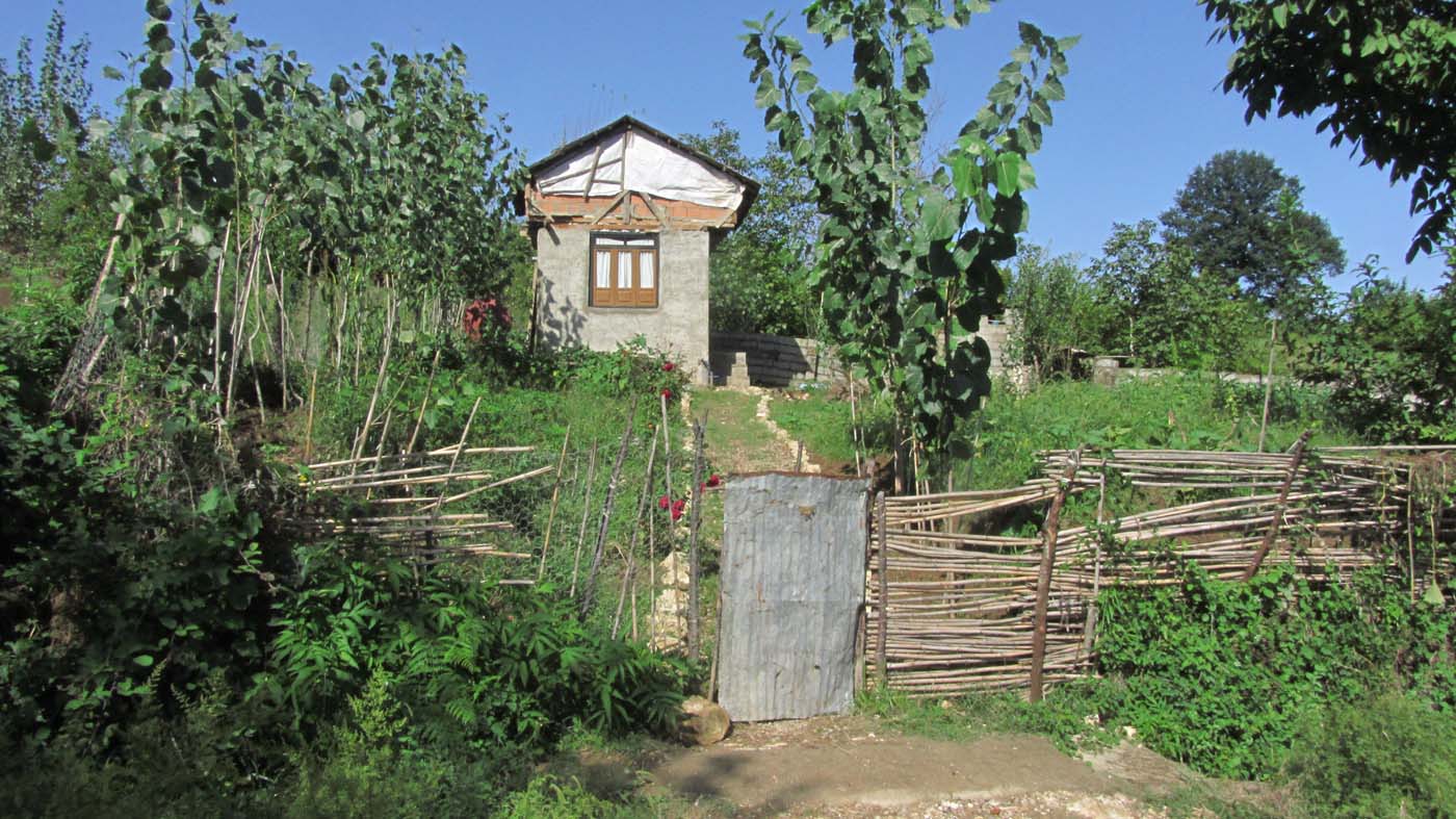 2_4_.jpg (1400×787)