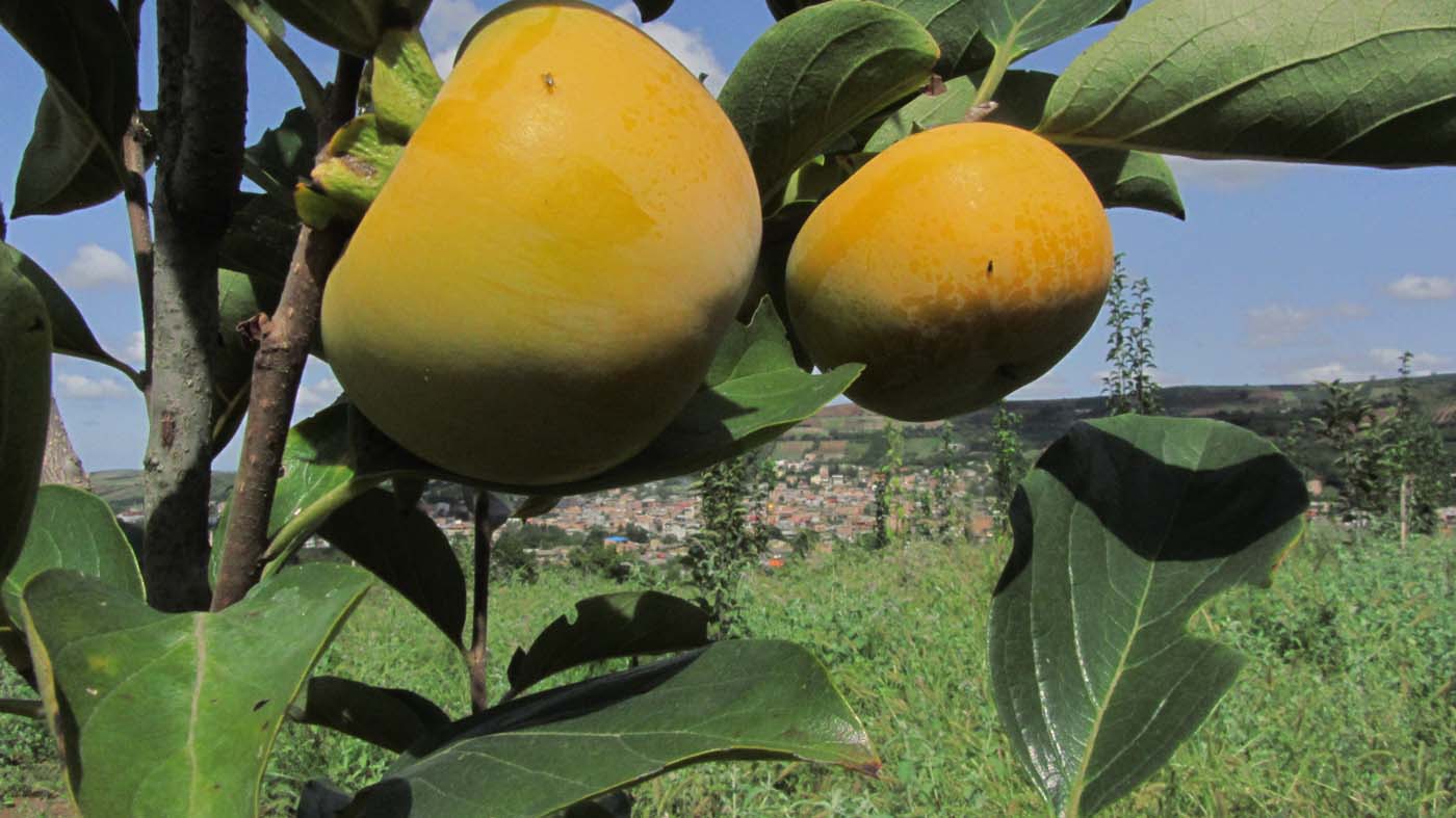 2_7_.jpg (1400×787)