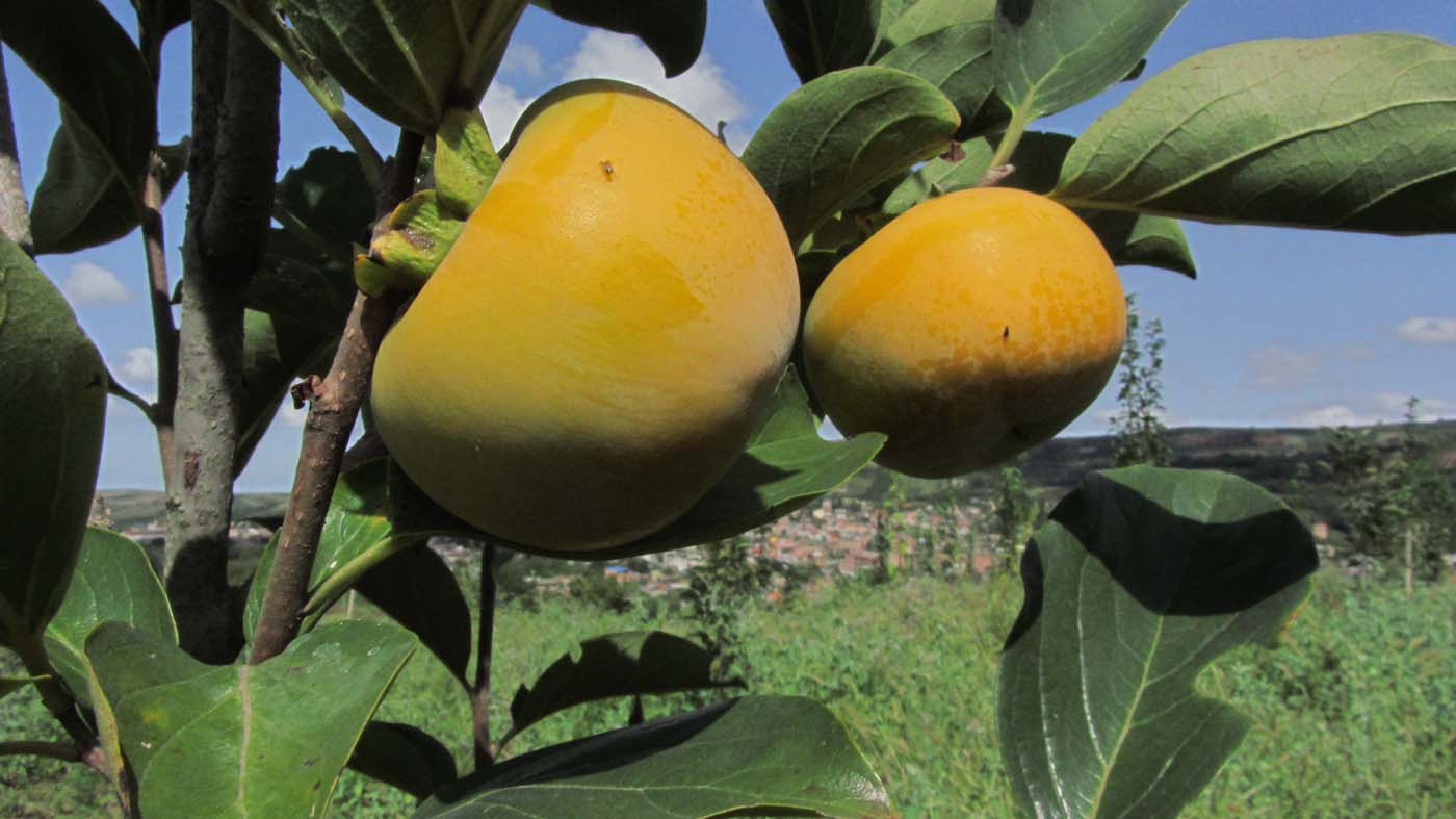 2_8_.jpg (1400×787)