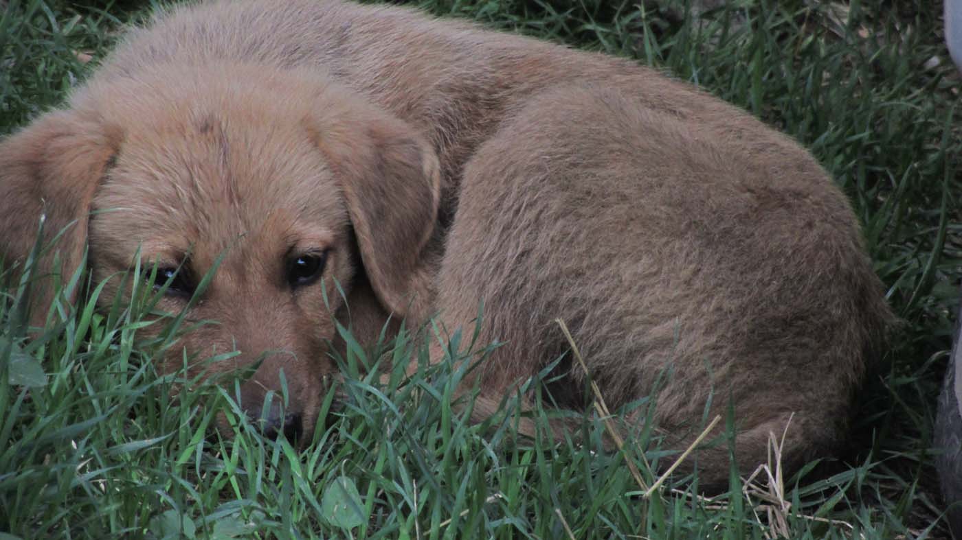 2_15_.jpg (1400×787)