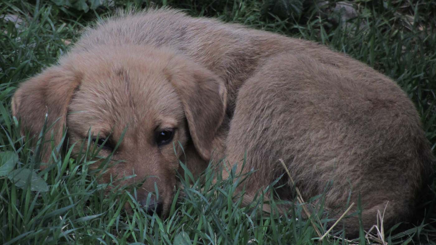 2_16_.jpg (1400×787)