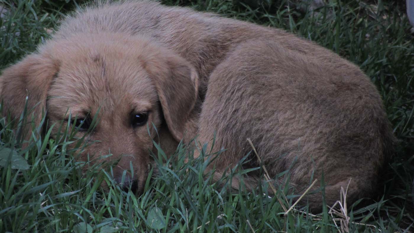 2_18_.jpg (1400×787)