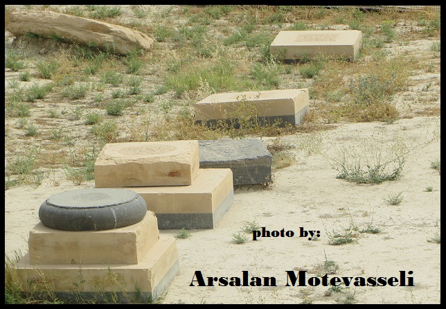 کاخ کوروش برازجان