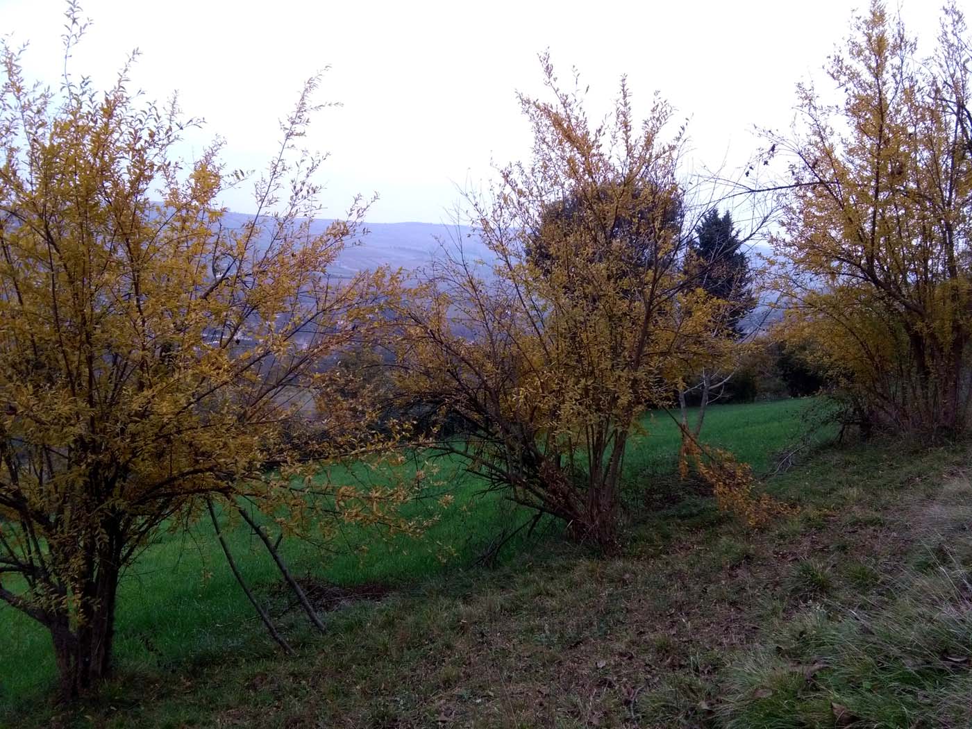 1_2_.jpg (1400×1050)