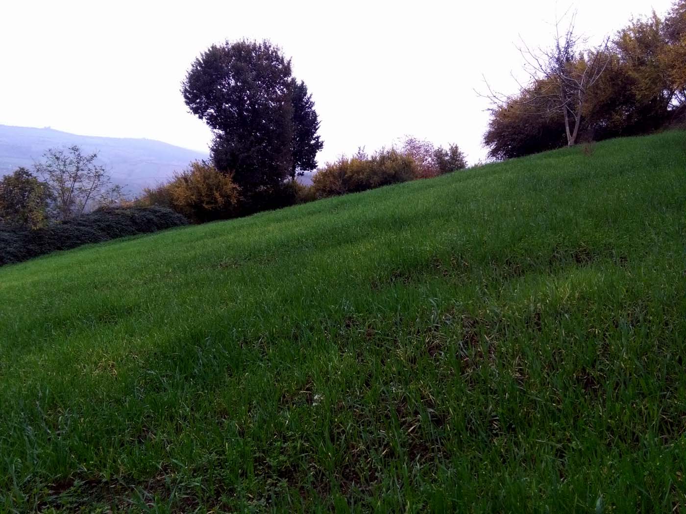 1_3_.jpg (1400×1050)