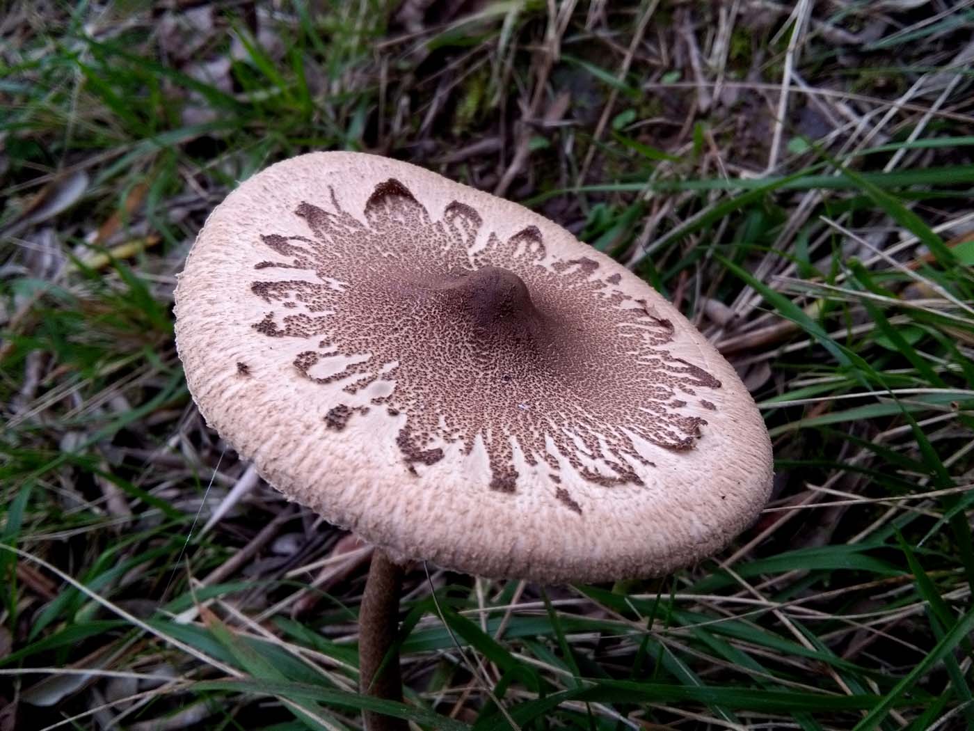 1_11_.jpg (1400×1050)