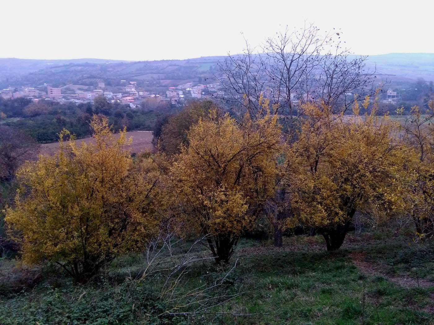 1_14_.jpg (1400×1050)