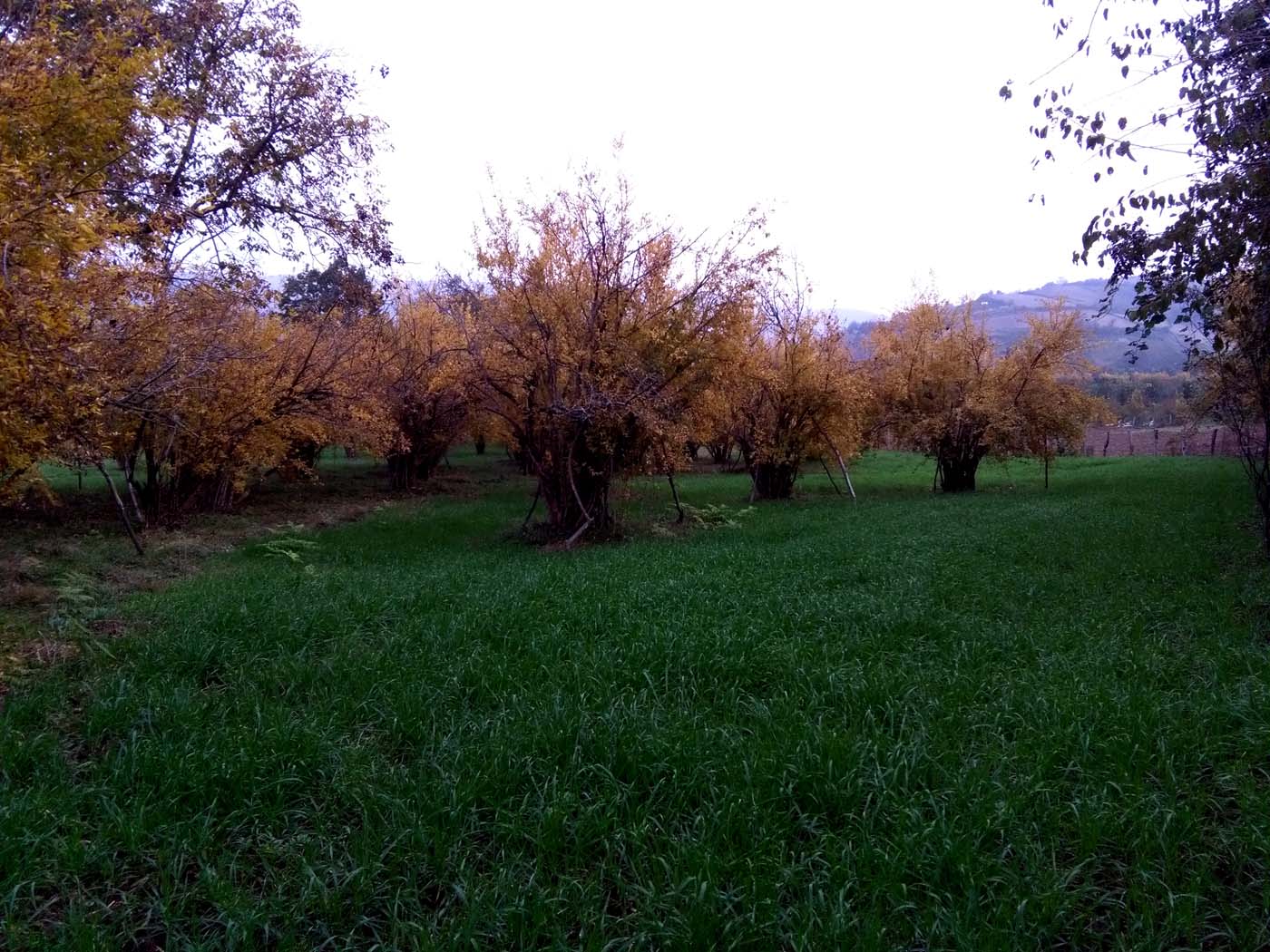 1_16_.jpg (1400×1050)