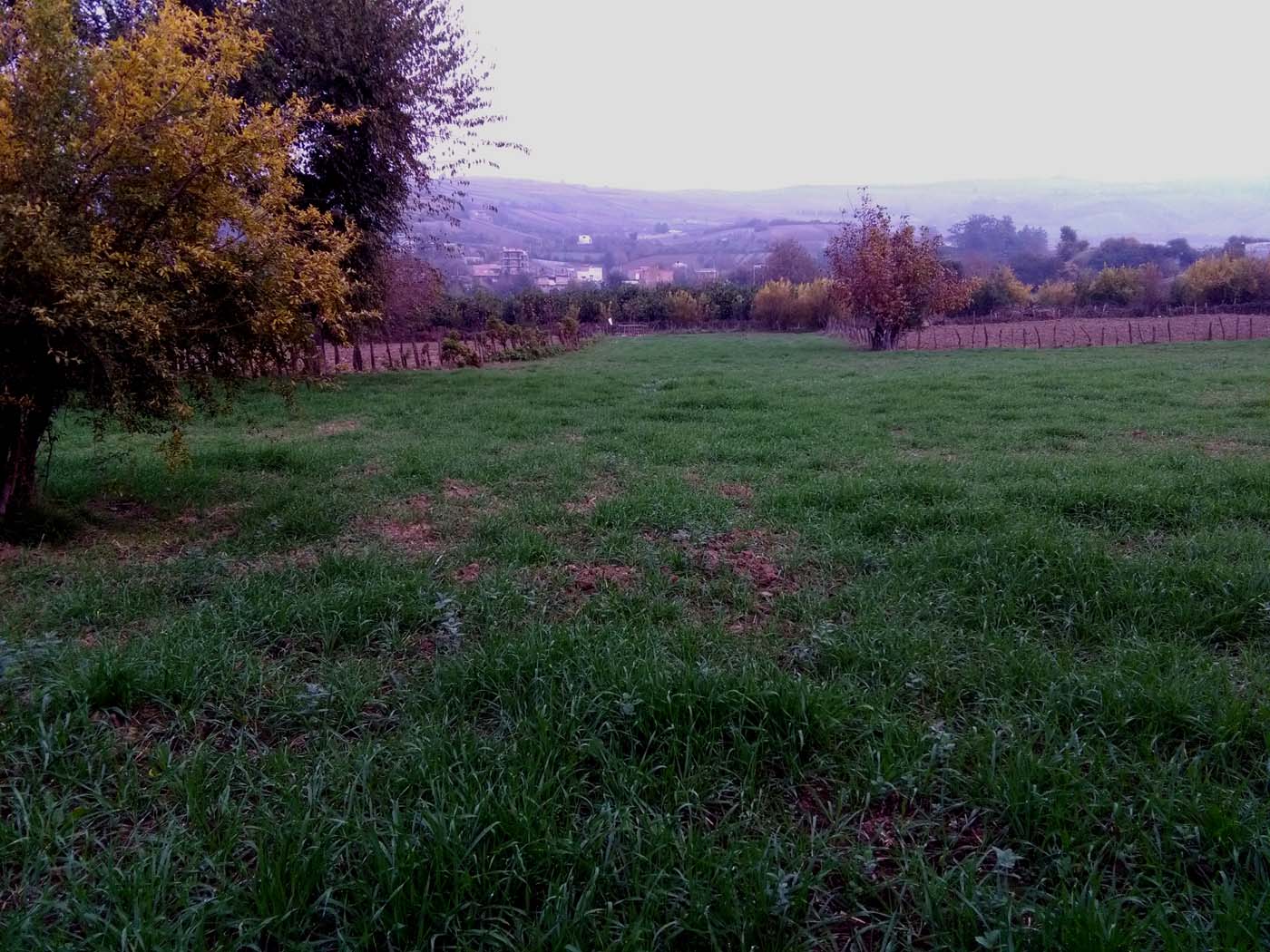 1_17_.jpg (1400×1050)