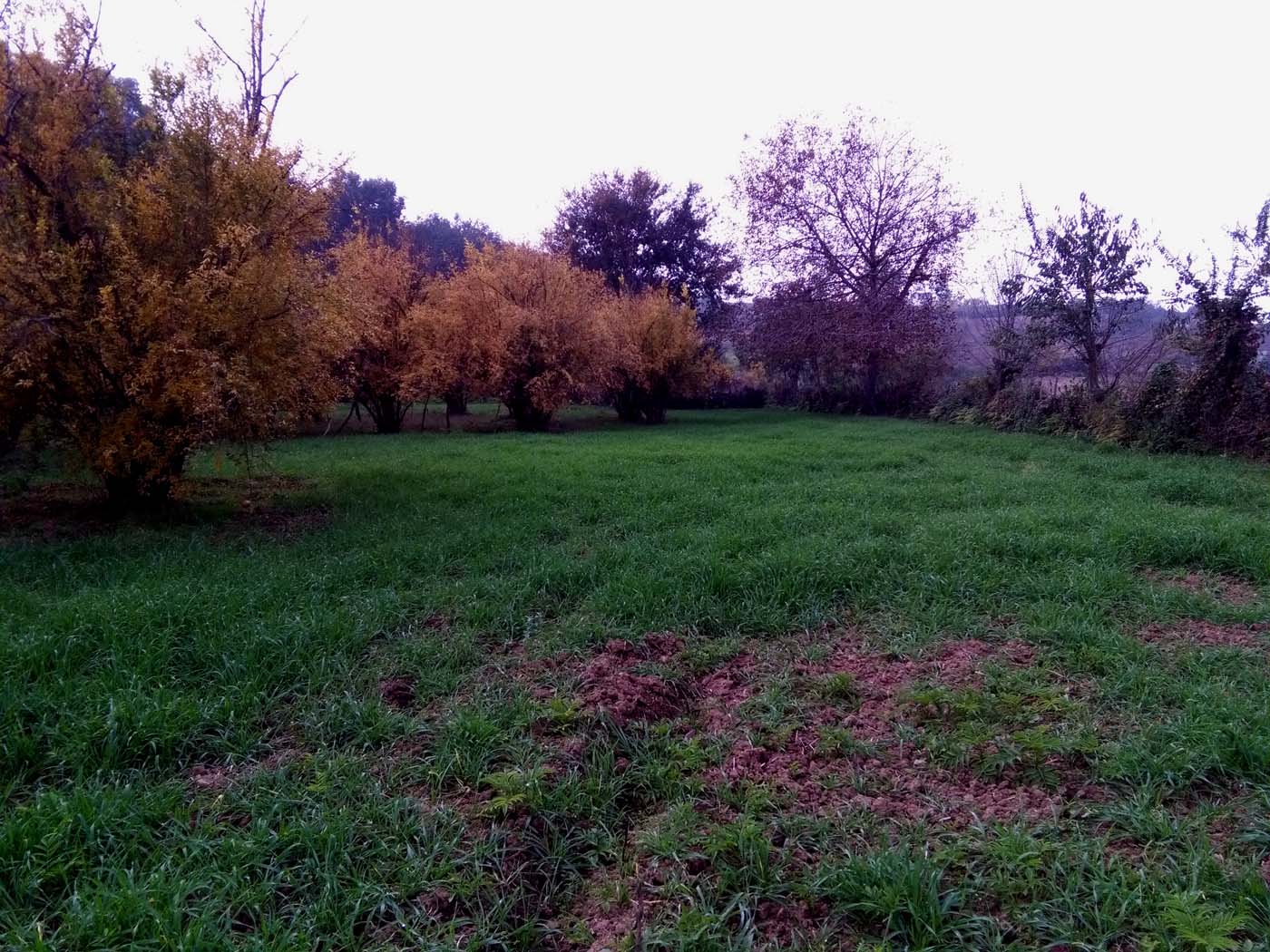 1_18_.jpg (1400×1050)