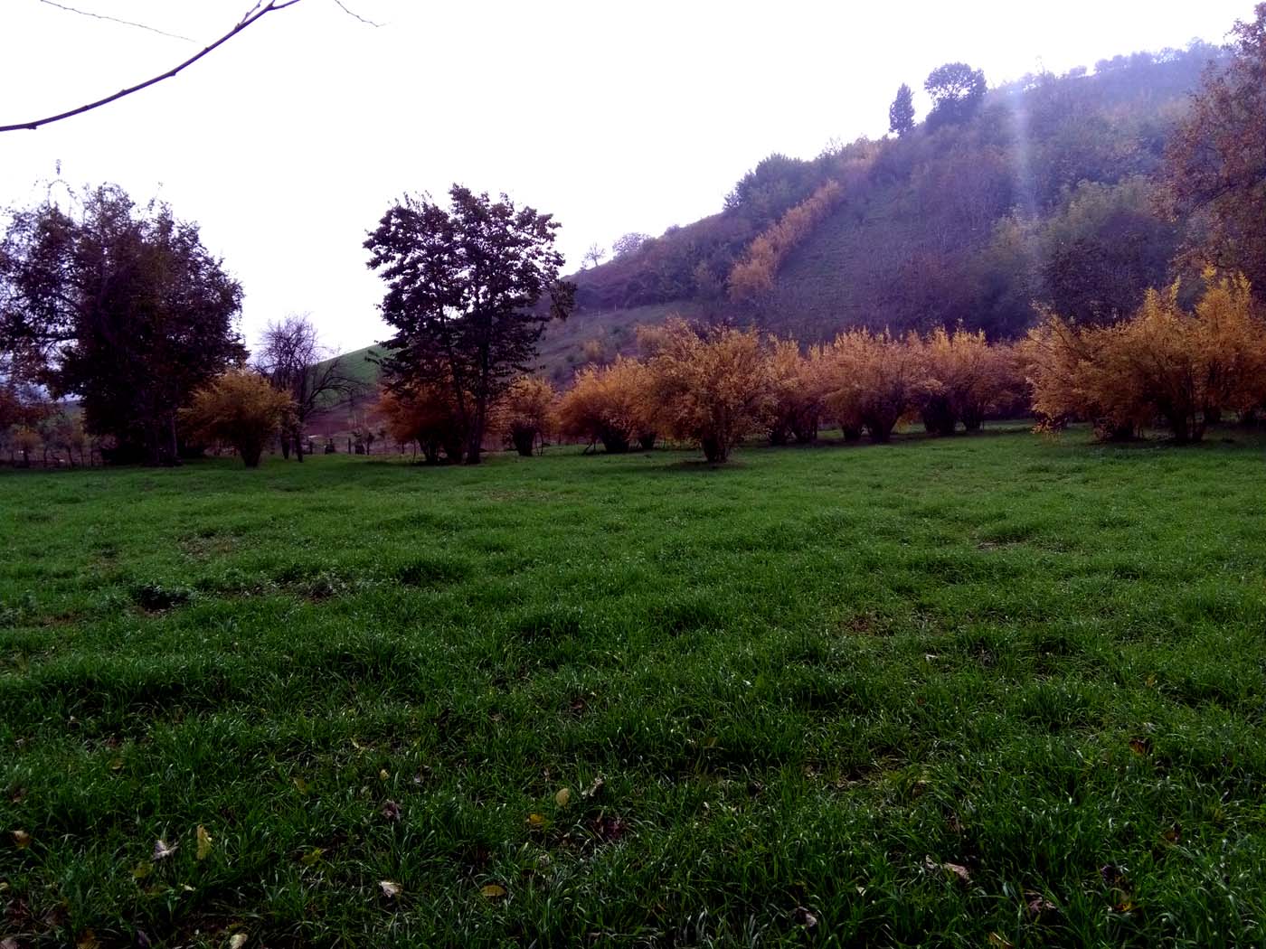 1_19_.jpg (1400×1050)