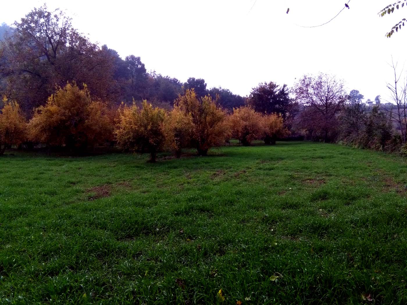 1_21_.jpg (1400×1050)