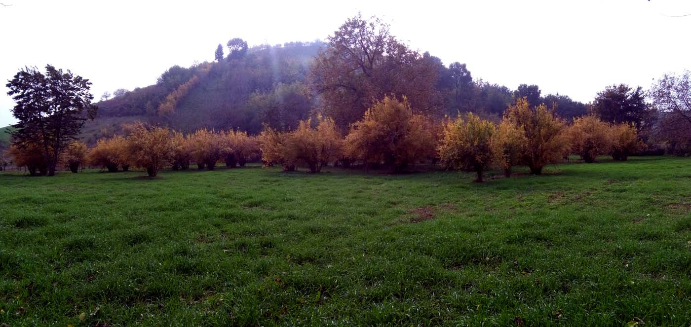 1_22_.jpg (1400×663)