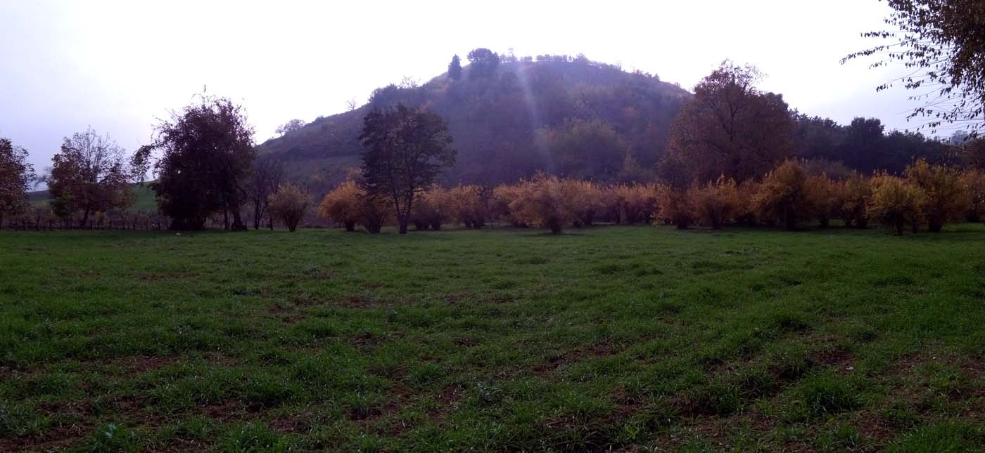 1_26_.jpg (1400×645)