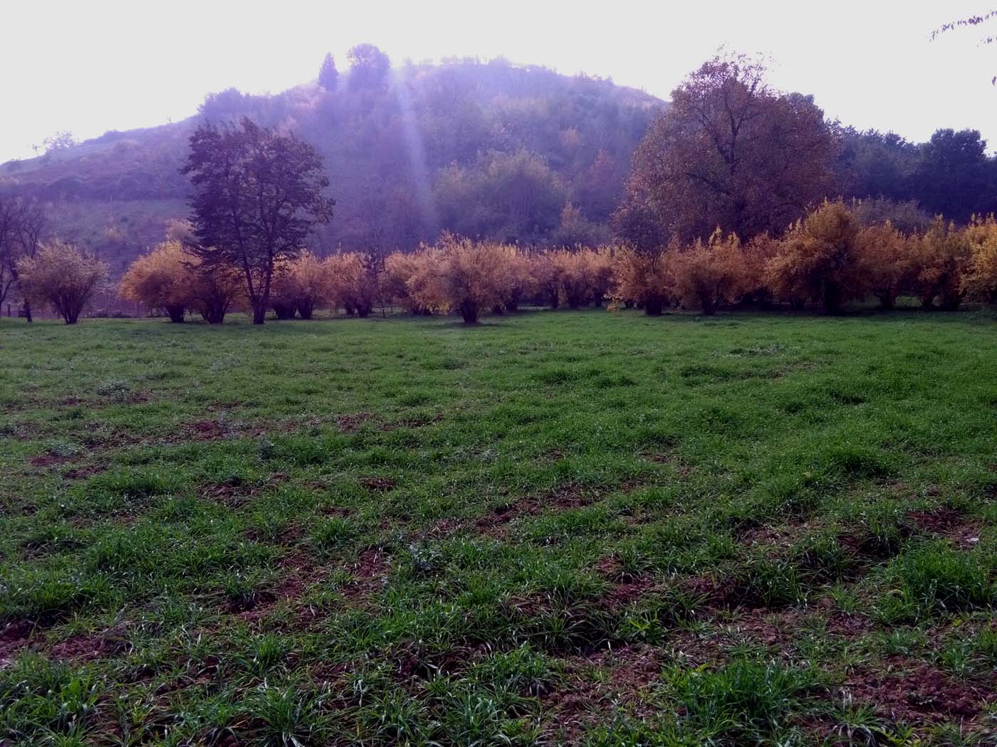 1_27_.jpg (1400×1050)