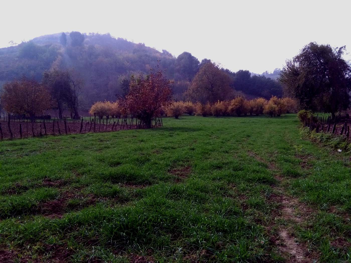 1_30_.jpg (1400×1050)